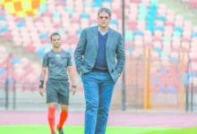 البلجيكى-«فيريرا»-يصل-اليوم-لتوقيع-العقود-واختيار-اللاعبين